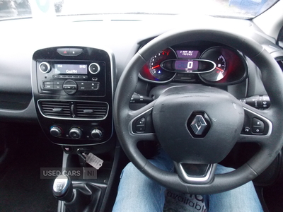 SW67FOARenaultClio-17