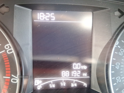 PF67DJOSkodaFabia-18